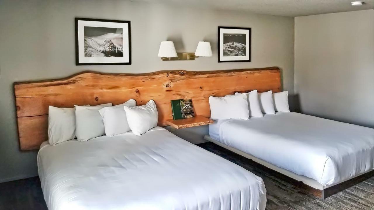 Queen Room Two Queen Beds